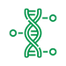 DNA genome icon